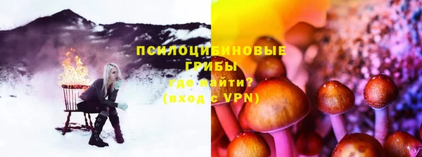 прущие грибы Богородск