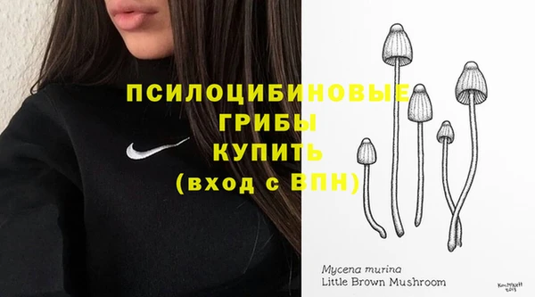 МДПВ Бронницы
