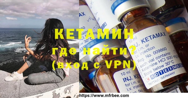 индика Бородино