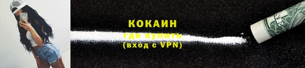 прущие грибы Богородск