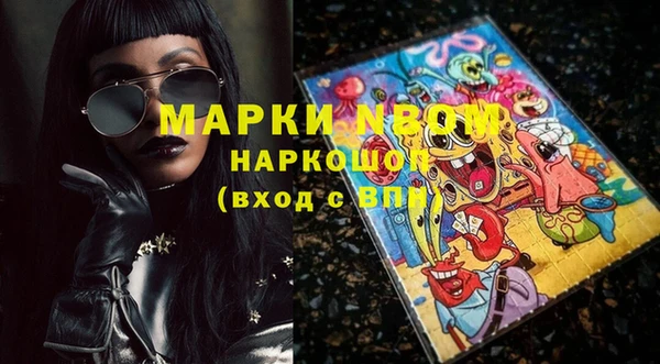 индика Бородино