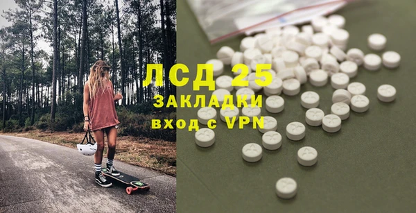 прущие грибы Богородск