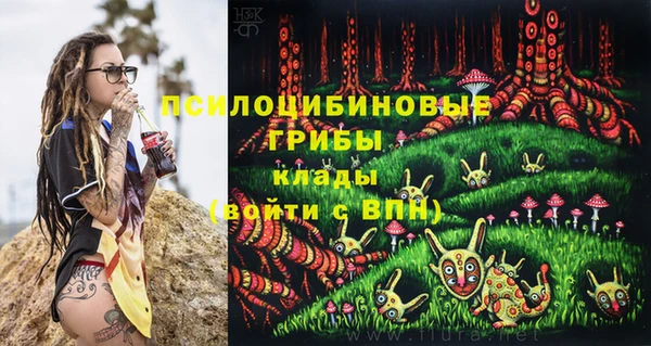 бутират Богданович