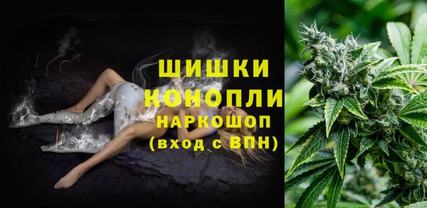 бутират Богданович