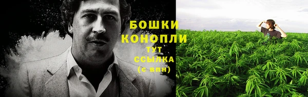 прущие грибы Богородск