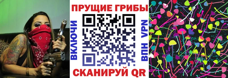 Галлюциногенные грибы мицелий  Кондопога 